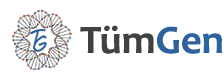 Tümgen